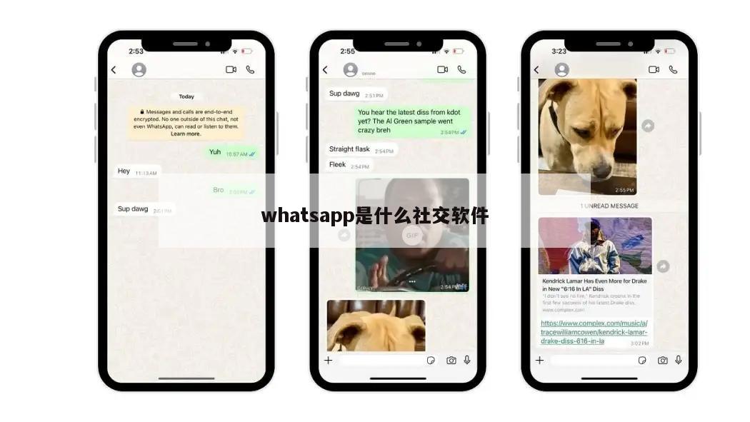 whatsapp是什么社交软件